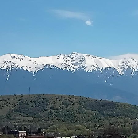 Le Nid D'Adam Zarnesti Exterior foto