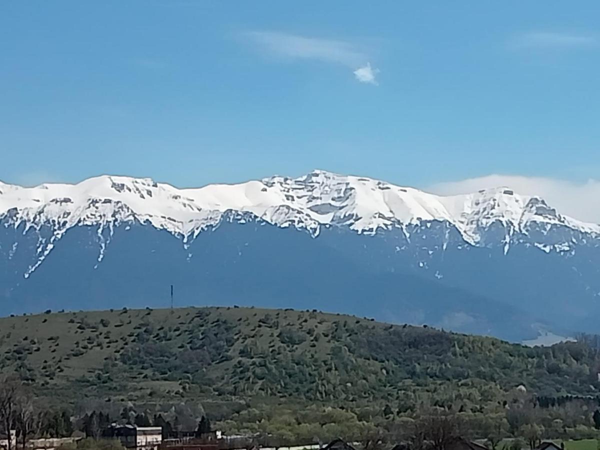 Le Nid D'Adam Zarnesti Exterior foto